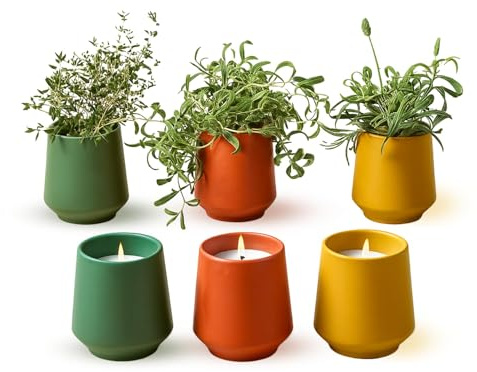 Modern Sprout - 2 in 1 Scented Candles with Seeds that Grows into Plants - 6 oz Soy Candle with 42 hr Burn time in Matte Glaze Ceramic Vessel - Ideal Gift for Mother's Day - Rosemary, Thyme, Lavender