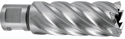 RUKO 108550E - Broca hueca HSSE-Co 5 con vástago Weldon (3/4), rectificada CBN, profundidad de corte 55 mm (50,0 x 19,0 mm)
