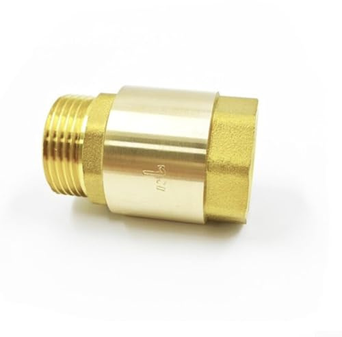 Clapet anti-retour en laiton à filetage G conçu pour les tuyaux d'alimentation en eau et d'irrigation, flux unidirectionnel et refoulement dans divers projets (intérieur de 2,5 cm - 260 g)