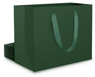 EUSOAR Geschenktüte Grün - 10 stück Papier Geschenktüten Klein Grünes S 22x10x18cm - 230GSM Papiertüten Dunkel Grün - Geschenktasche Green für Weihnachten Geburtstag, Hochzeiten
