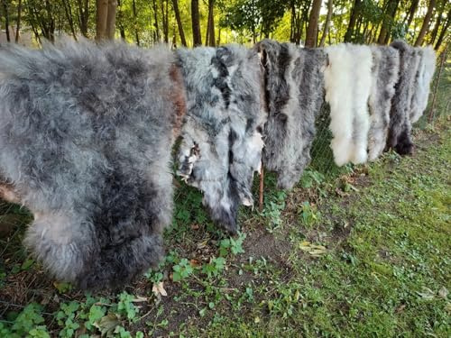 Provellus Echte Nordschnucken Schaffelle Schaffell Natur Grau Viele Größen 2.Wahl (eher lang (5cm -15cm), 110-120cm lang)