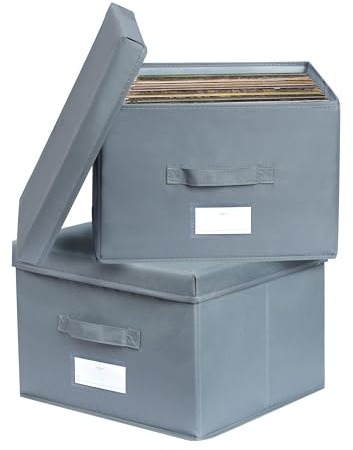 Augfox Set di 2 Contenitori per Armadio Salvaspazio - Scatole per Armadio Rigide, Scatola Porta Oggetti, Porta Giochi Bambini Contenitori (Grigio Scuro, 36x32x24cm)