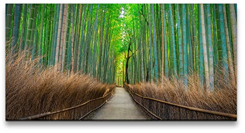 Paul Sinus 120x60cm Tableau mural – Magie de la forêt de bambou – Nature, harmonie, bambou