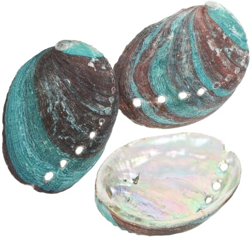 Toddmomy 3Pcs Coquille D'Ormeau Naturelle 8-10Cm, Bol D'Offrande pour Sauge Blanche, DéCoration IntéRieure, Multi
