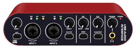ISKDJBJG Professionnel 24Bit 192KHz Interface Audio 2 Entrée Carte Son pour Guitare Électrique Externe Studio PC D'Enregistrement Tuner