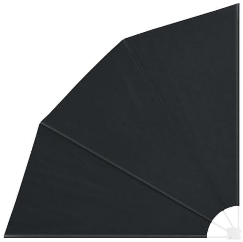vidaXL Balkon Sichtschutz Anthrazit 210 x 210 cm Polyester, Balkon Sichtschutz, modern und faltbar, wetterfest, UV-beständig, perfekt für draußen