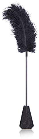 CANAREA Feder erotik spielzeug SM Federkitzler tickler Massage Verwöhn Federpuschel Bondage Cosplay Sexspielzeug Fetisch für Paare Les