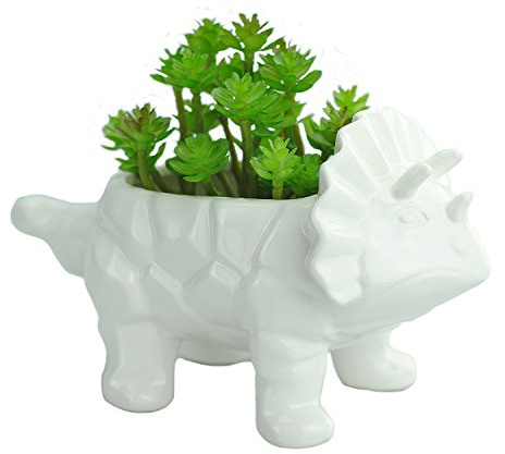 VanEnjoy - Maceta suculenta de cerámica con forma de dinosaurio de dibujos animados de 15,2 cm