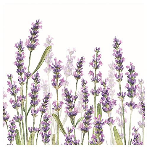Napkins Lavender Field 20 Pack 3 Ply Paper Ambiente Party Tableware Serviettes 16.5cm x 16.5cm
