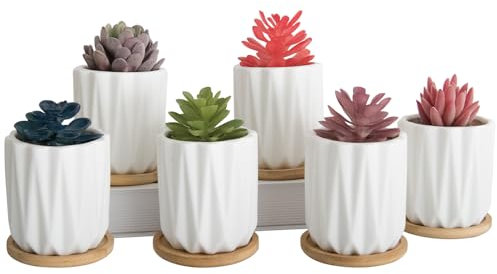 ARTKETTY Succulent Plant Pots - 8 CM White Small Plant Pots with Drainage Trays, Ceramic Pots for Indoor Plants, Pack of 6 - Cactus Flower Pots Decorative Garden Home
