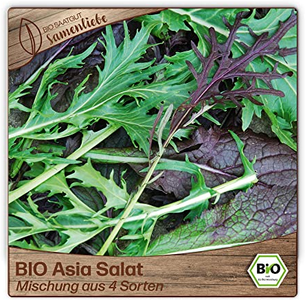 Samenliebe BIO Asia Salat Samen Mischung aus 4 Sorten 1g samenfestes Gemüse Saatgut für Gewächshaus Freiland und Balkon BIO Gemüsesamen winterhart