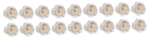 Cabilock 18stücke Teiliges Ohne Feuer Duftdiffusoren Aus Naturmaterialien Peony Diffusor Für Raumdekoration Und Aromatherapie Für Zuhause Und Büro