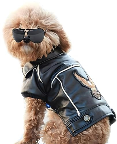 NIULA Dog Leather Jacket - Cute Leather Dog Jackets Motorcycle Clothes with Buttons Pet Waterproof Winter Coat for Small Medium Dogs(Black,M)