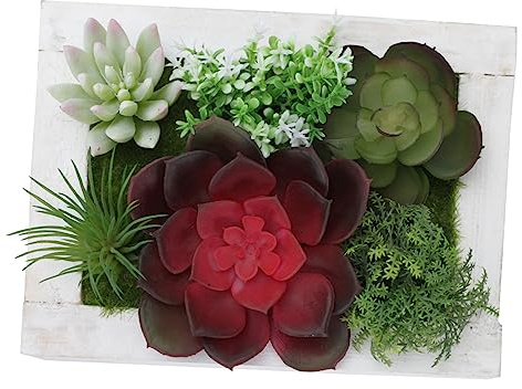 BATHVEVE 1pieza Marco De Foto Plantas Artificiales Suculentas Decoración para Pared del Hogar Adorno De Madera Imitación De Suculentas para Interiores y Oficinas
