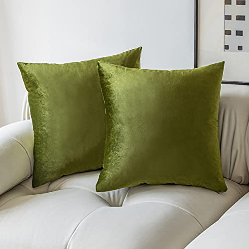 Demetex Kissenbezüge, 65 x 65 cm, Grün, große dekorative Samt-Kissenbezüge für Sommer, Sofa, Bett, Couch, Stuhl, Heimdekoration, 2 Stück, 65 x 65 x m, Grün