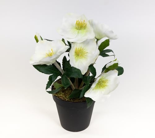 Seidenblumen Roß Christrosenbusch 28cm weiß im Topf GA Kunstblumen künstliche Christrose Pflanzen Blumen Kunstblumen