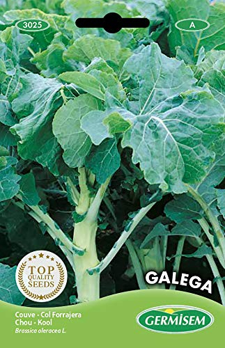 Germisem Galega Semi di Cavolo 5 g