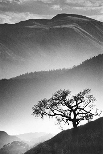 Feeling at home LEINWANDDRUCK im SCHATTENFUGENRAHMEN Schwarze Eiche Miele Jean - Fotografie vertikale Kunstbilder im Holzrahmen cm_76_X_51