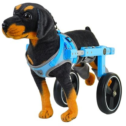 EXCLURA Hunderollstuhl Mobilitätshilfe für Kleine Hunde, 2-rädriger Fahrradanhänger für Hunde/Katzen mit Hinterbeinen, Leichter Haustierwagen für Shih Tzu, Gehhilfe für Behinderte Haustiere(Size M)