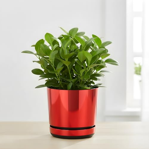 KORAD Red Mirror Indoor Plant Pots with Saucers and Drainage Holes, Round, Modern and Decorative Flowerpot for Houseplants, 6 sizes, 25 colours, Planters for Indoor Plants- (21 cm)