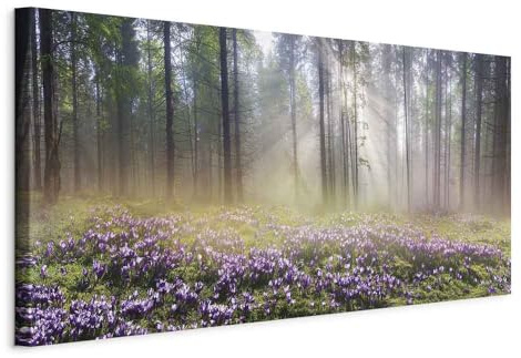 murando - Leinwandbild Natur Wald Nebel, 120x60 cm, 1-teilig, Schlafzimmer | Hochwertige Leinwand, sofort aufhängbar, ideal fürs Wohn- oder Schlafzimmer, wasserfest und lichtecht, langlebig, stilvoll