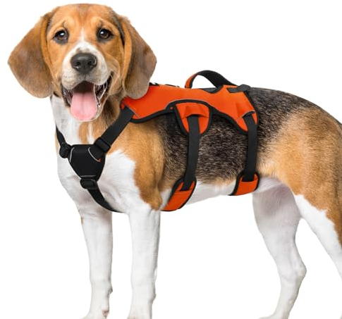 rabbitgoo Ausbruchsichere Hundegeschirr Mittelgroße Hunde mit Große Griff, Anti Zug Sicherheitsgeschirr Hund Atmungsaktiv, Verstellbare Brustgeschirr, Gepolstertem Hundeweste, Panikgeschirr, Orange M