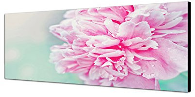 Augenblicke Wandbilder Keilrahmenbild Wandbild 150x50cm Pfingstrose Blüte rosa Großaufnahme Vintage