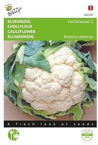 Buzzy Seeds 002220 Blumenkohl Herbstriesen 2 (Blumenkohlsamen)