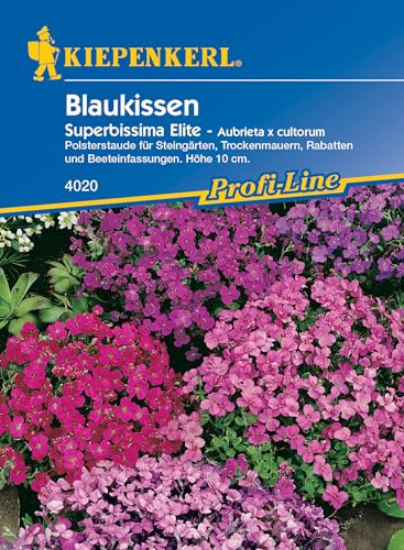 Kiepenkerl 4020 Blaukissen Superbissima Elite (Blaukissensamen)
