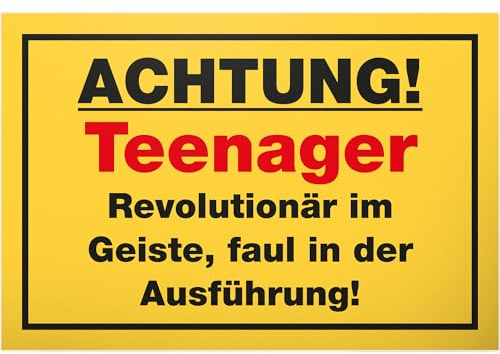 DankeDir! Teenager - Schild 30 x 20 cm - Geschenkidee Teenie Spruch Zimmer Türschild Jungen & Mädchen Jugendzimmer - Dekoration Deko Geschenk Idee Jugendliche Tür Deko Geburtstag