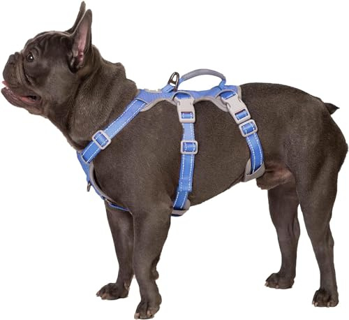 Huntboo Ausbruchsicheres Hundegeschirr, Sicherheitsgeschirr für Hunde, Vollständig Reflektierendes Geschirr mit Griff, Atmungsaktiv, Verstellbare Weste für Kleine Hunde, die Gehen (Vista blau, S)