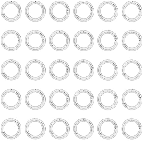 BRIOTA 30 Stück 33mm Karabiner Rund, Zinklegierung Rundringe, O-Ring Karabiner, Karabinerhaken Rund für Tasche Schmuck Schlüsselanhänger Schlüsselring Geldbörsen (Silber)
