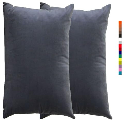 Kissenbezug 60x80 Kissen 50x70 Bezug Couch Sofa Kissenbezüge Samt 40x60，2er Set Dekokissen Bezug Blau/Grün/Grau,Pillowcase Pillow Cases 40x70, Kissen Abdeckung ( Color : 1 Grey , Size : 60x80 cm 2pcs
