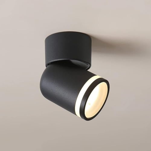 Spotlight a LED da 10 W interni 丨 350 ° Ruota a soffitto/riflettori montati su superficie/3000K-6000K Lampada a parete in alluminio nero Spotlight Luci da letto per la camera da letto a risparmio
