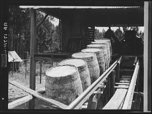 HistoricalFindings Photo: Turpentine,Georgia,GA,Farm Security Administration,Dorothea Lange,1937,FSA 1