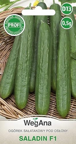 WegAna Concombre Saladin F1 Graines 0,5g Concombre précoce 30 à 35 cm Graines de légumes robustes Graines de culture Semences pour la serre