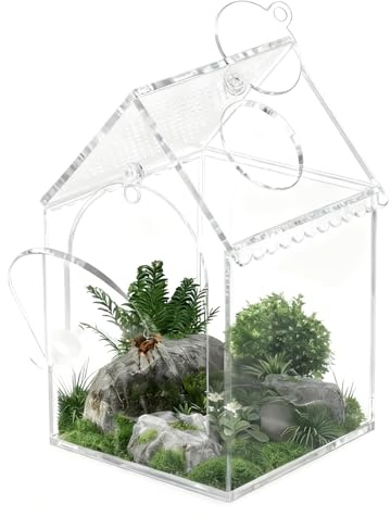 Qfdiwr Terrarien und Spinnengehege - Abluftdichter Isolationsraum | Terrarium für springende Spinnen | für Familien enthusiastische Haustiere Reptil Tier für den Innenbereich