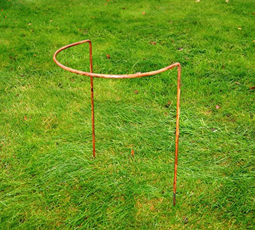 GAP GARDEN PRODUCTS 15 (38cm) x 34 (86cm) Border Support, Solid metal and supplied bare metal ready 2 rust (pack of 6)