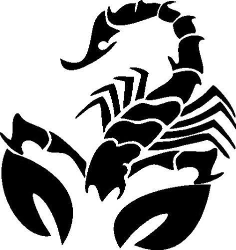 Plott Aufkleber Skorpion Scorpion Gift Giftig Sternzeichen Sticker Tuning