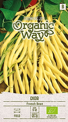 Organic Way | Graines de HARICOTS POLE DIOR | Graines de légumes | Graines de haricots | Graines de jardin | Pousse en 60 jours | 1 paquet