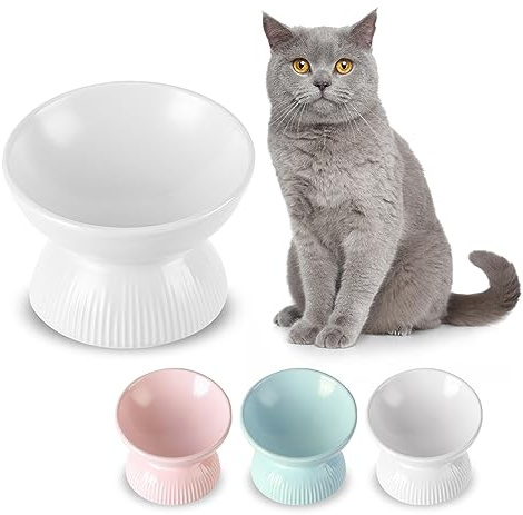 Katzennapf Erhöht aus Keramik - Geneigter Futternapf gegen Erbrechen für Katzen - 280 ml Fressnapf Katze - Durchmesser 15,5 cm