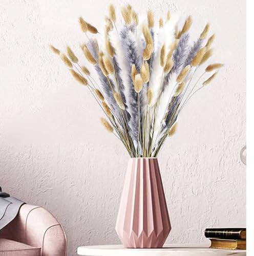 Tycons 70 Stück Pampasgras Trockenblumen Deko, Natürliche Getrocknet 45cm Decor für Hochzeits-Boho-Blumen und Tisch Deko zu Hause