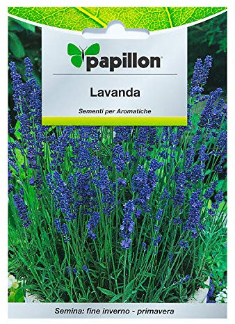 Semi Di Lavanda Per Orto In Bustina Pianta Aromatica Perenne 0,5 Grammi