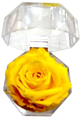 ROSA ETERNA AMARILLA en joyero. REGALO ORIGINAL. Rosa AMARILLA preservada. Rosa AMARILLA natural preservada. Decoración Elegante. Regalos enamorados, cumpleaños, aniversario, dia de la madre.