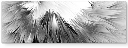 Paul Sinus Art Leinwandbilder | Bilder Leinwand 120x40cm Fell schwarz/weiß