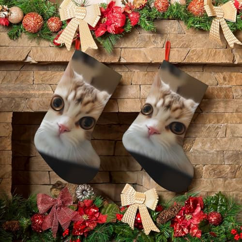 LZQPOEAS 45,7 cm Weihnachtsstrümpfe, personalisierter Weihnachtsstrumpf für Urlaub, niedliche Katze, Weihnachtsstrümpfe, Weihnachtsstrümpfe für Weihnachtsdekoration, Weihnachtsdekoration, Strümpfe für