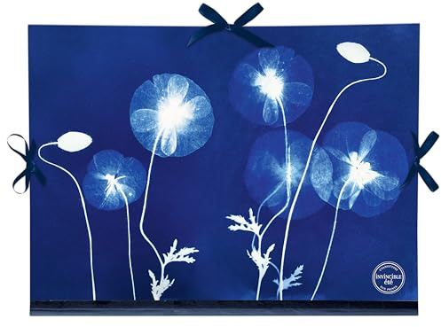 Clairefontaine - 83513C - Un Carton à Dessin Décor Floral/Cyanotype - Fermeture 3 Rubans 28x38cm - Pour formats A4 et 24 x 32 cm - Résistant et Pratique - Collection Cyanotype