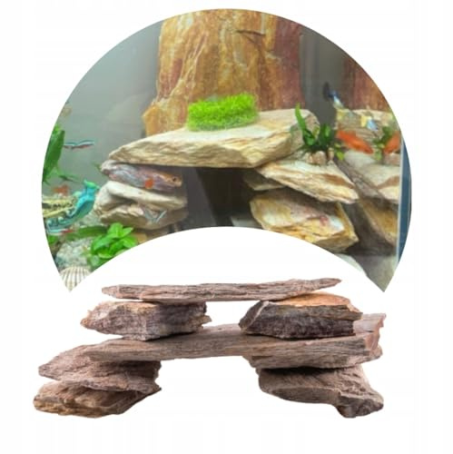 TD STONES Aquarium Steine Mehrfarbig 5kg Schieferplatte – Natursteine Deko für Aquascaping Höhle – Terrarium Zubehör Bunt Dekosteine Wasserneutral