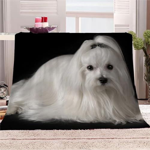 Weißer Shih Tzu Kuscheldecke Flauschig Decke 220x240cm 3D Weißer Shih Tzu Fleecedecke Weich Sofadecke Warm Bettdecke Decken Wohndecke Tagesdecke Sofaüberwurf Schlafdecke Couchdecke Bettüberwurf C875