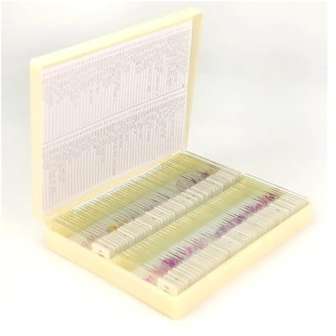 AdiGar Mikroskop-Objektträger, professionelle vorbereitete Abschnitte, Histologie-Proben, Zubehör für Wissenschaft und Biologie, 100 Stück, Optisches Glas, Kunststoff, einfarbig